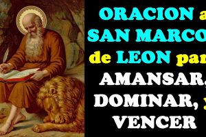 Oración a San Marcos de León: Poderosa Oración Para Amansar Tu Vida