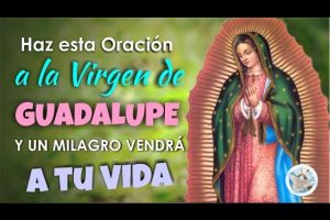 Oración a Virgencita de Guadalupe: Consejos y Recomendaciones