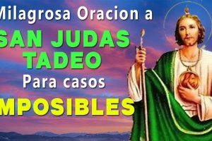 Oraciones Milagrosas para San Judas Tadeo: Descubre Sus Bendiciones