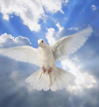 Dios es amor: ¿Cuál es la naturaleza del amor de Dios?