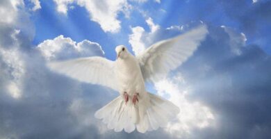 Dios es amor: ¿Cuál es la naturaleza del amor de Dios? 6 Dios es amor: ¿Cuál es la naturaleza del amor de Dios?