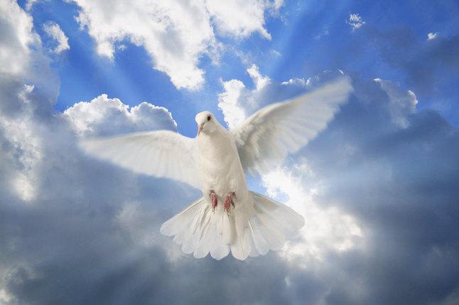 Dios es amor: ¿Cuál es la naturaleza del amor de Dios? 1 Dios es amor: ¿Cuál es la naturaleza del amor de Dios?