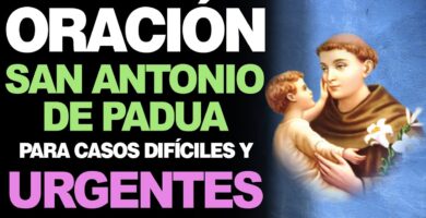 Oración a San Antonio para Casos Difíciles y Urgentes: Reza y Confía 7 Oración a San Antonio para Casos Difíciles y Urgentes: Reza y Confía