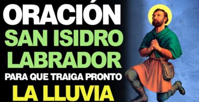 Oración a San Isidro Labrador: ¡Reza esta Poderosa Oración! 7 Oración a San Isidro Labrador: ¡Reza esta Poderosa Oración!