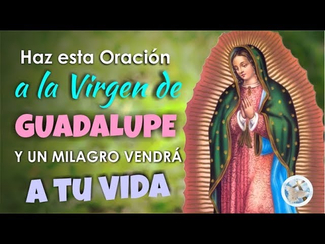 Oración a Virgencita de Guadalupe: Consejos y Recomendaciones 1 Oración a Virgencita de Guadalupe: Consejos y Recomendaciones