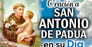 Reza esta Oración Antigua a San Antonio de Padua para Bendiciones 6 Reza esta Oración Antigua a San Antonio de Padua para Bendiciones