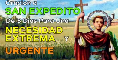 Oración de San Expedito de 3 Días: Cómo Rezarla Para Lograr Resultados 8 Oración de San Expedito de 3 Días: Cómo Rezarla Para Lograr Resultados