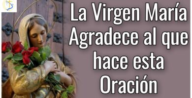 Oraciones Poderosas a la Virgen María para Bendición y Protección 9 Oraciones Poderosas a la Virgen María para Bendición y Protección