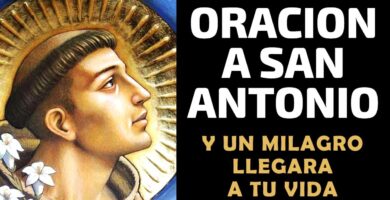 7 Oraciones Eficaces a San Antonio: Descubre Cómo Orar para Obtener Sus Bendiciones 7 7 Oraciones Eficaces a San Antonio: Descubre Cómo Orar para Obtener Sus Bendiciones