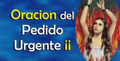 Consejos para Oraciones del Alma Sola: Mejora tu Espiritualidad 9 Consejos para Oraciones del Alma Sola: Mejora tu Espiritualidad